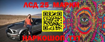 гидра Донской