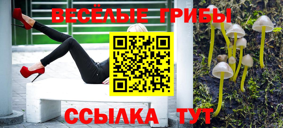 Галлюциногенные грибы MAGIC MUSHROOMS  цена наркотик  Новый Уренгой  Вход с VPN 